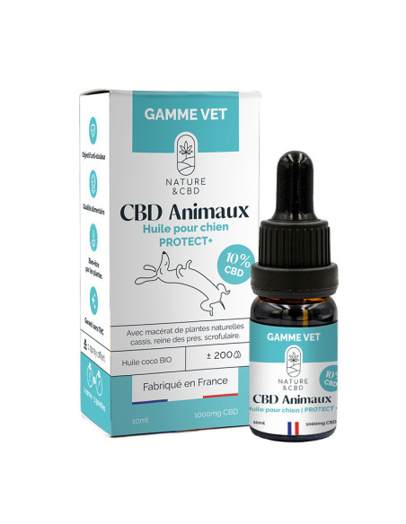 Huile CBD Protect+ 10%