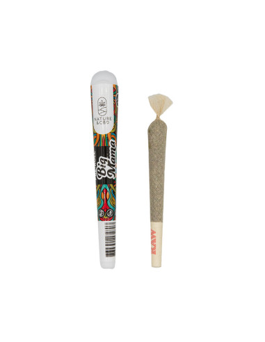 Preroll Big Mama