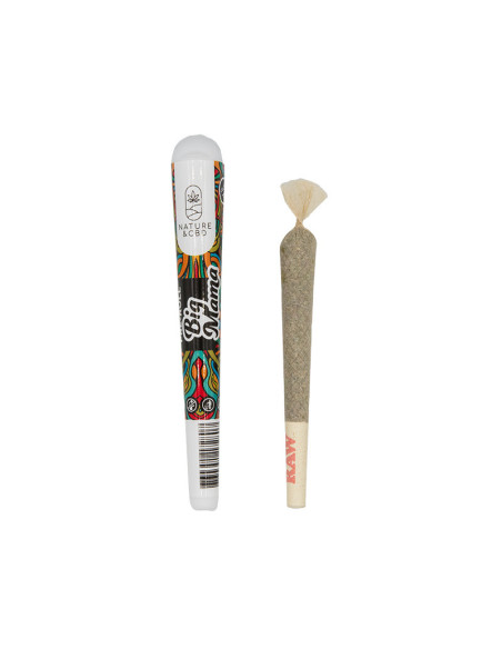 Preroll Big Mama