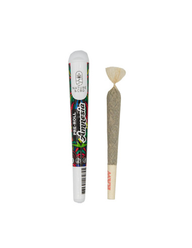 Preroll Amnesia