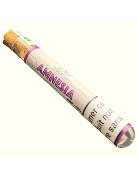 Preroll Amnesia BIO