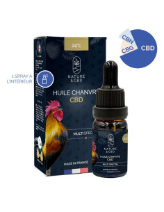 Huile CBD-CHANVRE 2