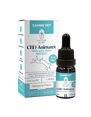 Huile CBD Protect+ 10%