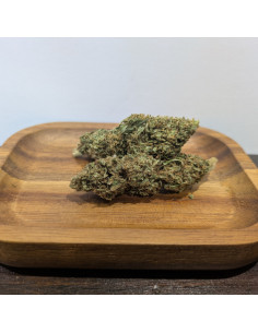 Amnesia BIO