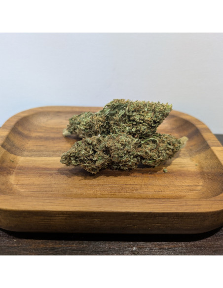 Amnesia BIO