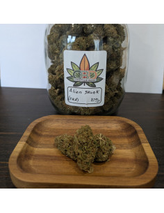 Alien Skunk 2