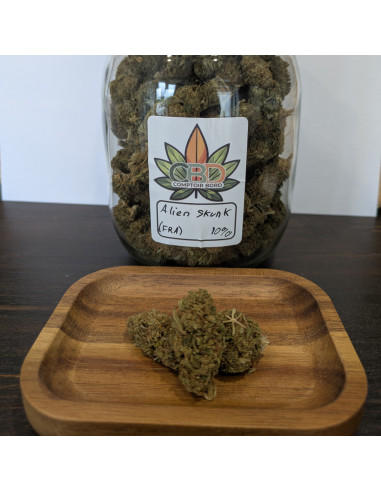 Alien Skunk