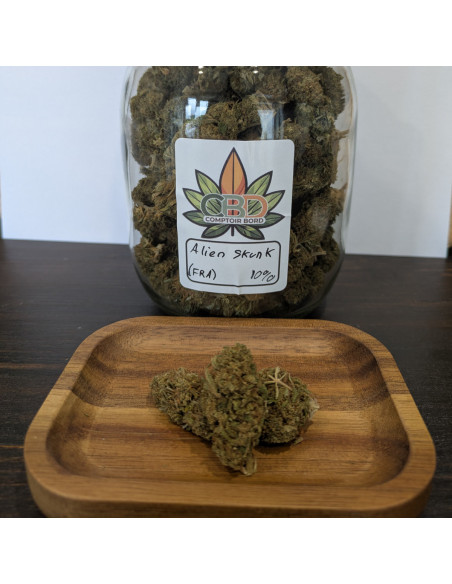Alien Skunk
