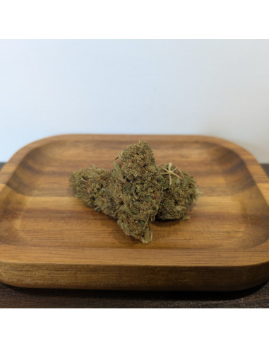 Alien Skunk