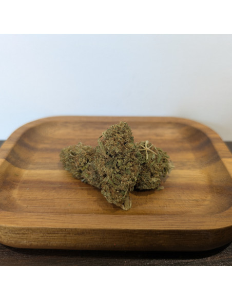 Alien Skunk