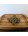 Alien Skunk