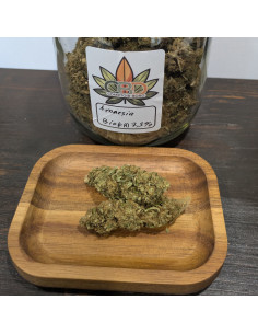 Amnesia BIO 2