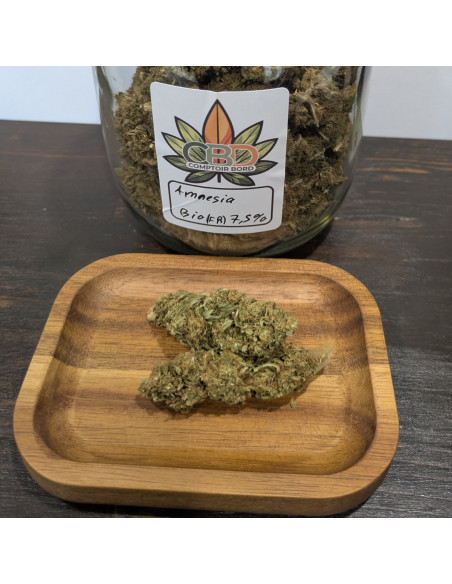 Amnesia BIO