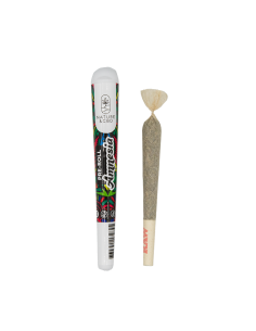 Preroll Amnesia