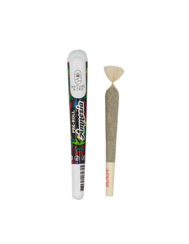 Preroll Amnesia