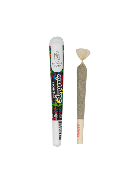 Preroll Amnesia
