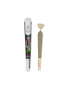 Preroll Amnesia
