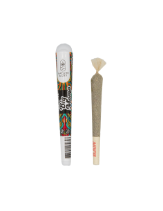 Preroll Big Mana