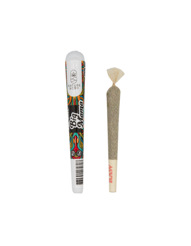 Preroll Big Mana