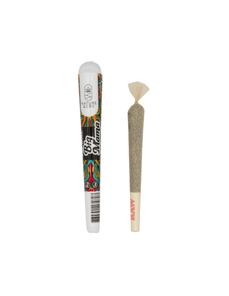 Preroll Big Mana