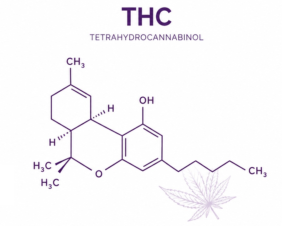 molecule THC